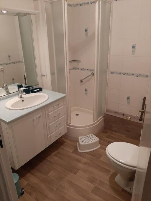 Appartement T2- 40 M2- Place Parking Souterrain -fibre Limoges